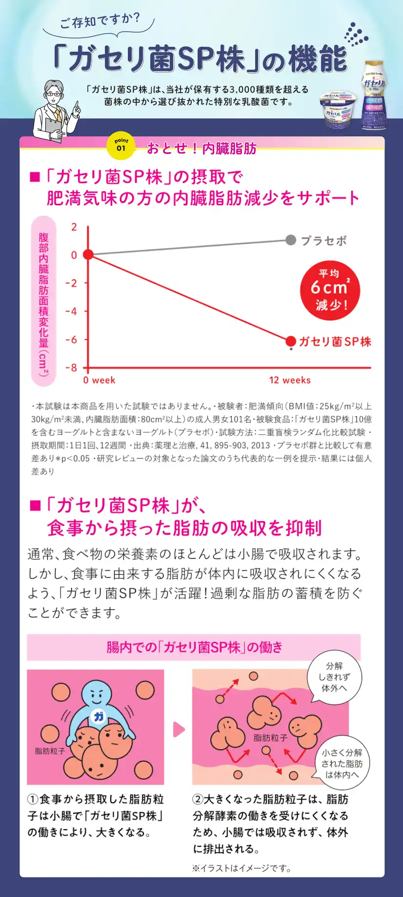 ガセリ菌ＳＰ株ヨーグルトリニューアル情報・効用１